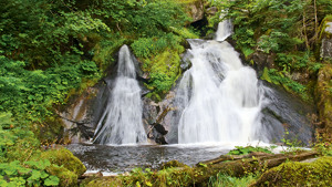 TOUR FORESTA NERA, ALSAZIA E SVIZZERA immagine n.3