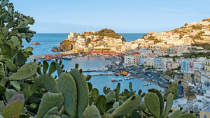 TOUR LA RIVIERA DI ULISSE E PONZA immagine n.3