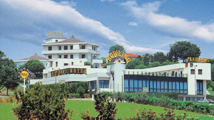 HOTEL VILLA DEI ROMANZI immagine n.2