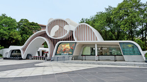 TOUR CINA - GUIZHOU E SICHUAN immagine n.3
