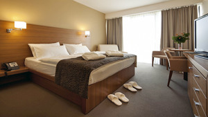 BOHINJ ECO HOTEL immagine n.3