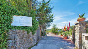 HOTEL PARCO DEI PRINCIPI immagine n.2