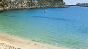 COSTA FASCINOSA immagine n.2