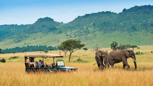 LILY PALM RESORT & SAFARI MASAI MARA immagine generale
