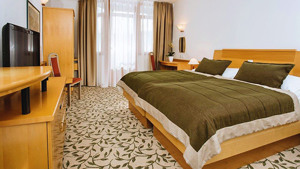 HOTEL VITAL immagine n.3