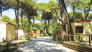 VILLAGGIO DEL SOLE immagine n.2