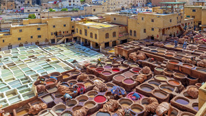TOUR CITTA' IMPERIALI E DESERTO immagine n.2