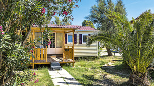 CAMPING VILLAGE TUSCIA TIRRENICA immagine generale