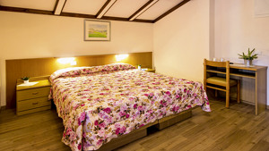 HOTEL STELLA ALPINA immagine n.3