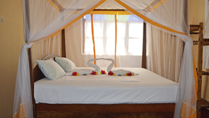 ZANZIBAR DREAM LODGE immagine n.3
