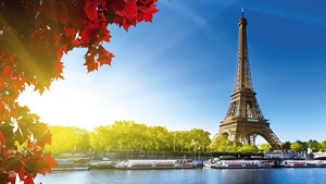 TOUR CASTELLI DELLA LOIRA E PARIGI immagine n.2