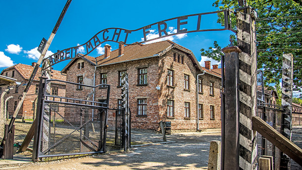 TOUR CRACOVIA E VARSAVIA immagine generale