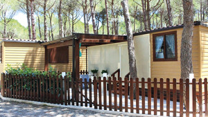 CAMPING VILLAGE RIVA DEI GRECI immagine n.2