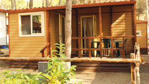 CAMPING VILLAGE RIVA DEI GRECI immagine n.3