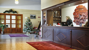 HOTEL FAGGIO ROSSO immagine n.3