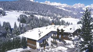 HOTEL DEBRA PARK immagine n.2