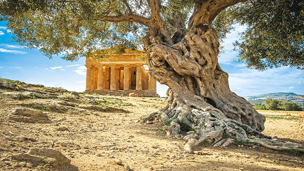 TOUR SICILIA - INCANTO MEDITERRANEO immagine generale