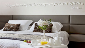 HOTEL RADISSON BLU MAJESTIC immagine n.3