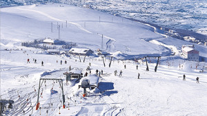 HOTEL MAMMA ROSA immagine n.2