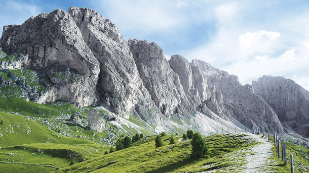 HOTEL REGINA DELLE DOLOMITI immagine generale
