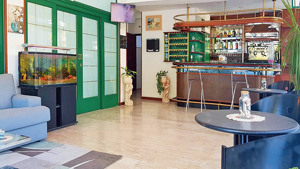 HOTEL RIVAZZURRA immagine n.3