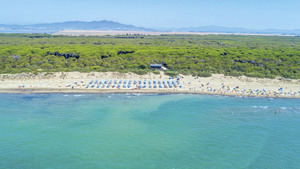 LE MARZE CAMPING VILLAGE immagine generale