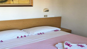 HOTEL PEONIA immagine n.3