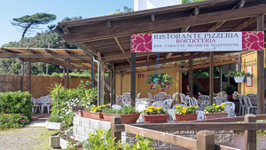 CAMPING BOCCA DI CECINA immagine generale