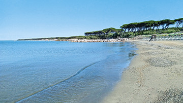 CAMPING BOCCA DI CECINA