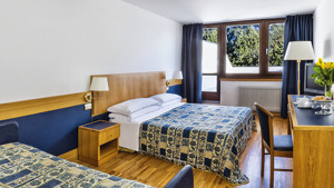 HOTEL REGINA E FASSA immagine n.3