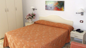 HOTEL PINETA immagine n.3