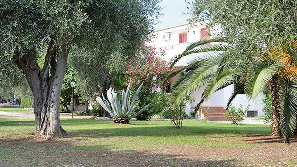 VILLAGGIO CAMPING PARCO DEGLI ULIVI immagine generale
