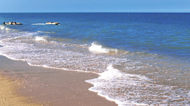 COSTA VERDE CAMPING VILLAGE immagine generale