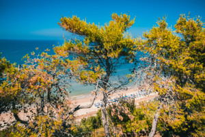 APULIA HOTEL GARGANO immagine n.2
