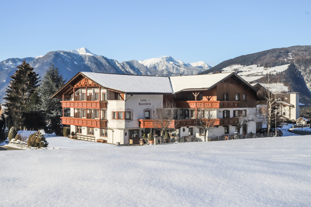 HOTEL ROSENHEIM immagine generale