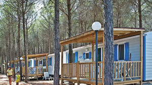 SALICE CLUB RESORT immagine n.3