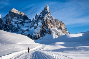 HOTEL REGINA E FASSA immagine generale