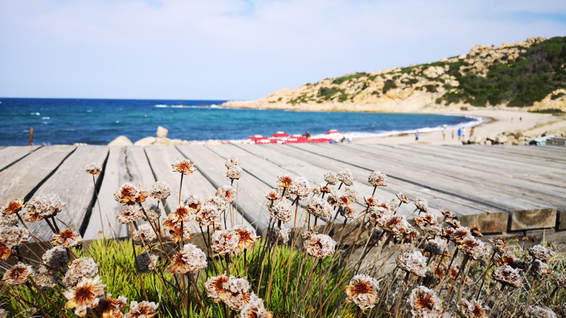 CLUB ESSE GALLURA BEACH VILLAGE