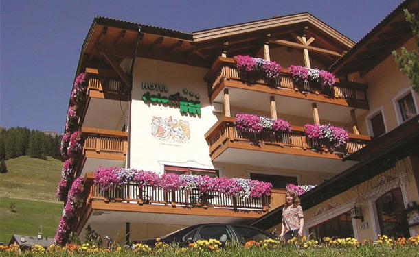 HOTEL DOLOMITES INN immagine generale