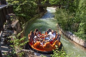 HOTEL FABIO immagine generale