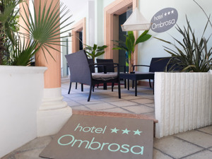 HOTEL OMBROSA immagine n.2