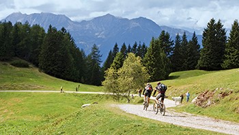 Offerte Vacanze in Val Rendena - Eurospin Viaggi