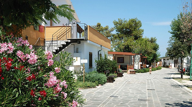 CAMPING SUN BEACH immagine generale