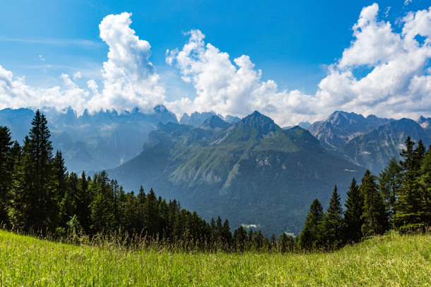 HOTEL ALLE ROSE immagine generale