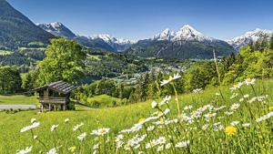 HOTEL ALPENROSE immagine n.2