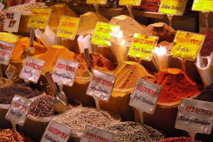 PONTI E FESTIVITA' A ISTANBUL immagine n.2