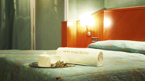 PERUGIA PARK HOTEL immagine n.3