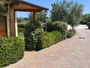 COUNTRY HOUSE VALLE DEL METAURO immagine n.2