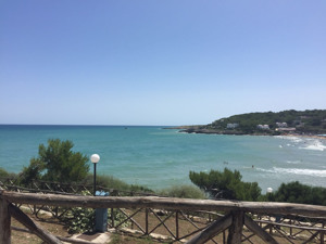 CAMPING INTERNAZIONALE MANACORE immagine generale
