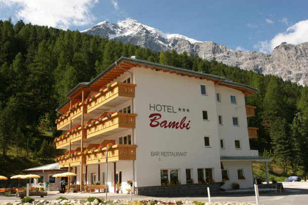 HOTEL BAMBI AM PARK immagine generale